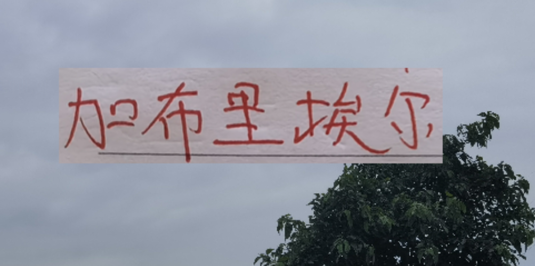 世界赛直播-新赛季！海港 申花 北京国安的边锋都是又黑又快的外援